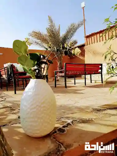 استراحة النخيل فيو