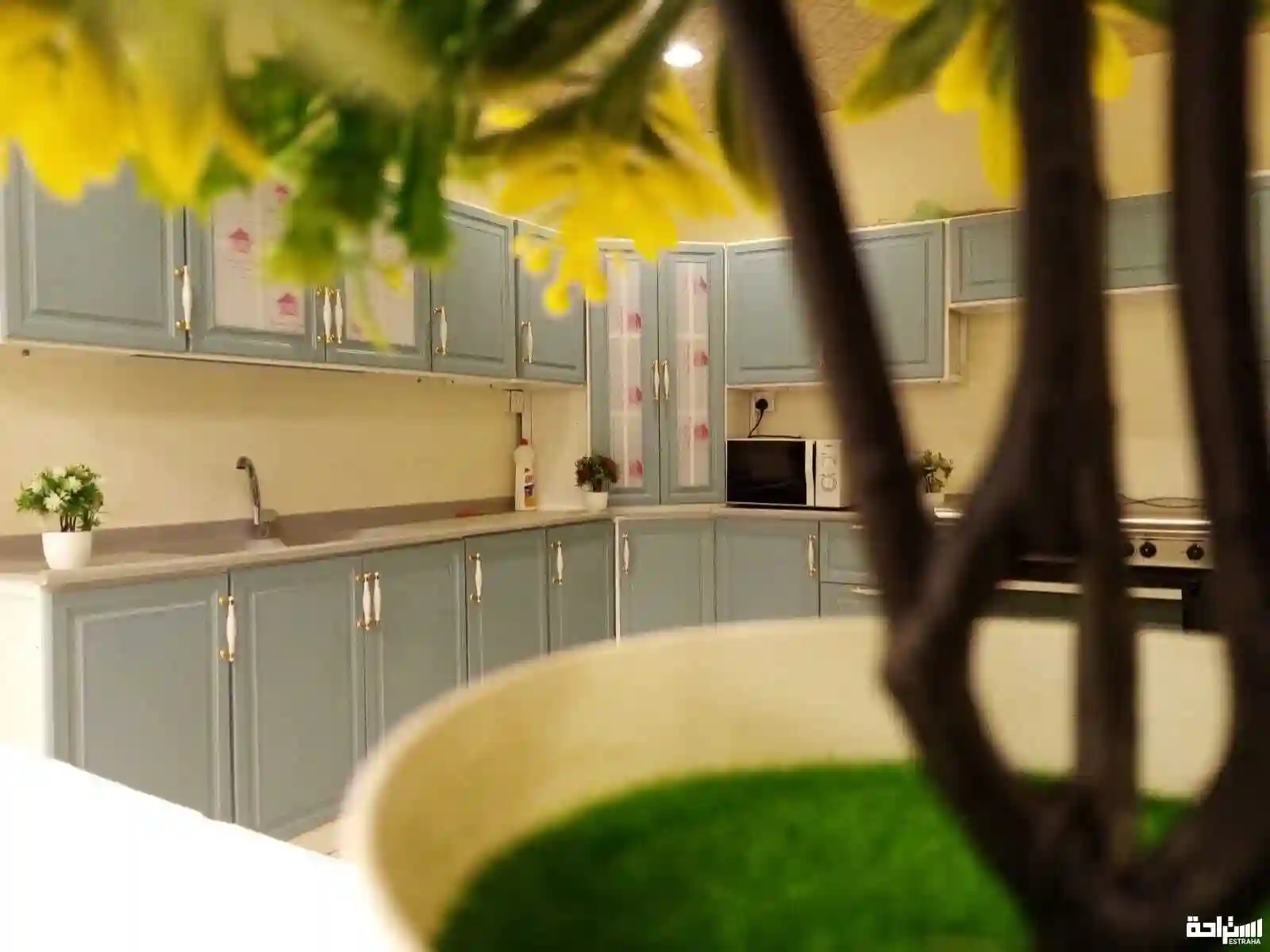 شاليه Silver White1